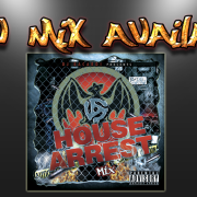 New Mix: House Arrest
